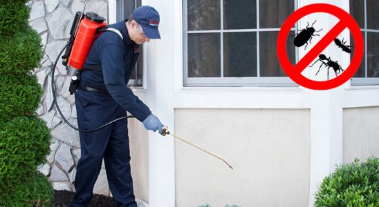 Onikişubat Gümüşkurt İlaçlama böcek ilaçlama ve haşere kontrolü — ilaclama-tr.com